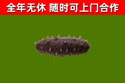 运城市烟酒回收干海参.jpg